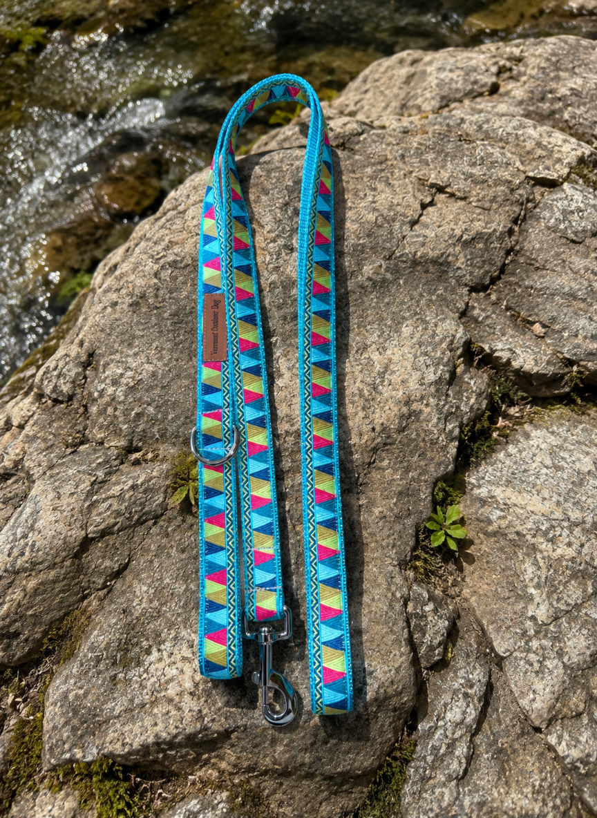 6 Foot Dog Leash 1 " Width