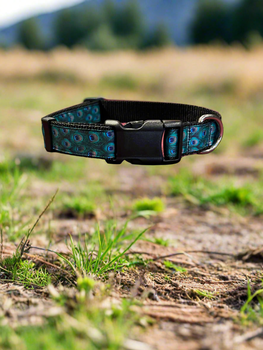 Dog Collar M Adjustable 16-21"