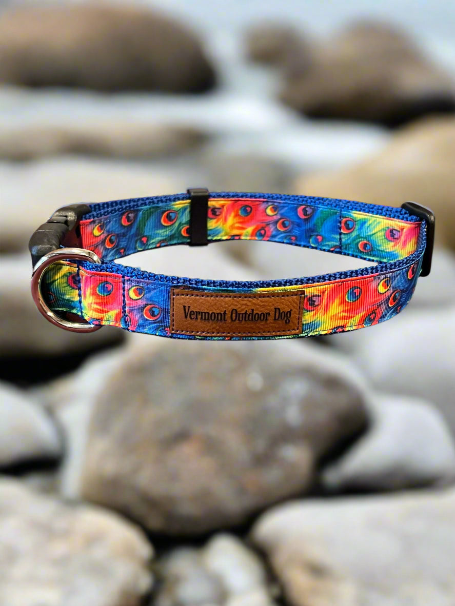 Dog Collar S Adjustable 12-16"
