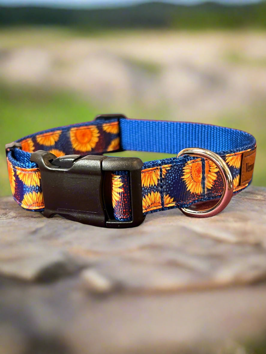 Dog Collar M Adjustable 16-21"