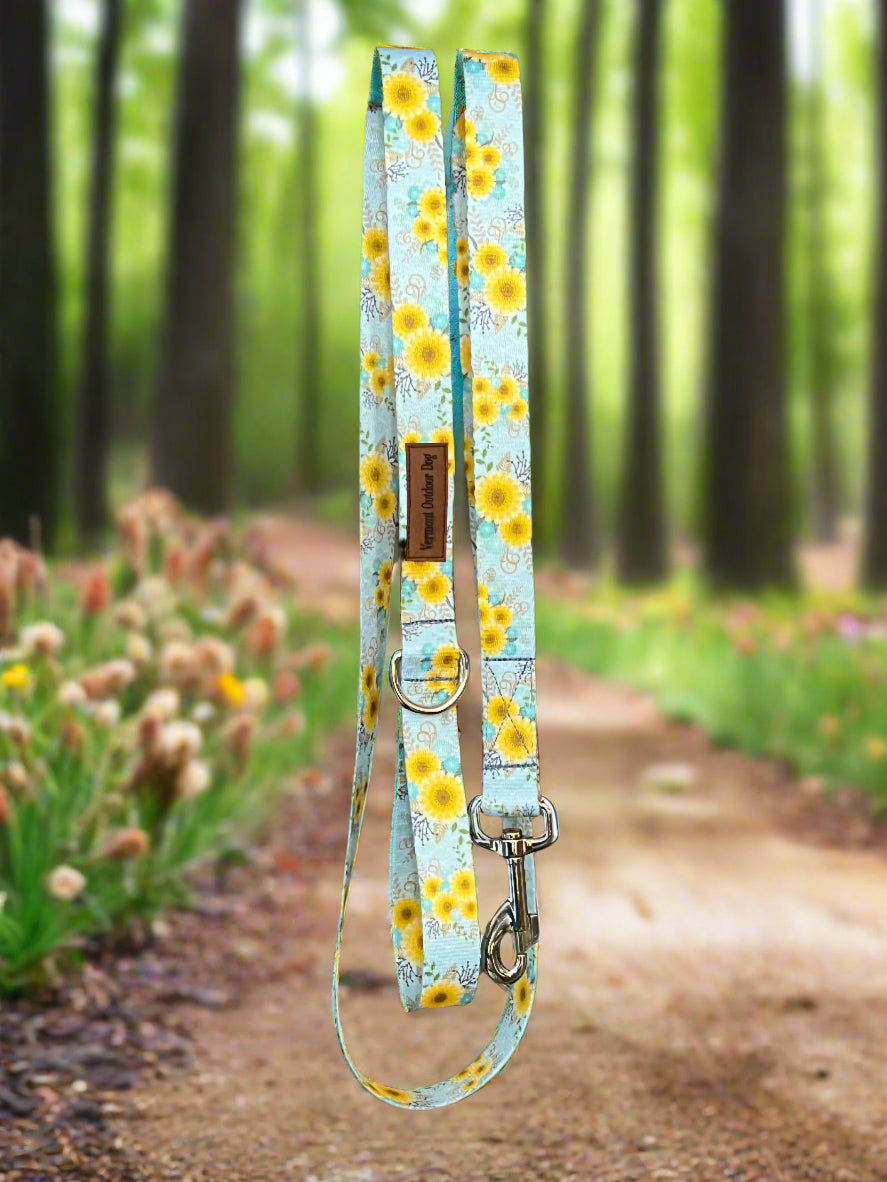 6 Foot Dog Leash 1 " Width