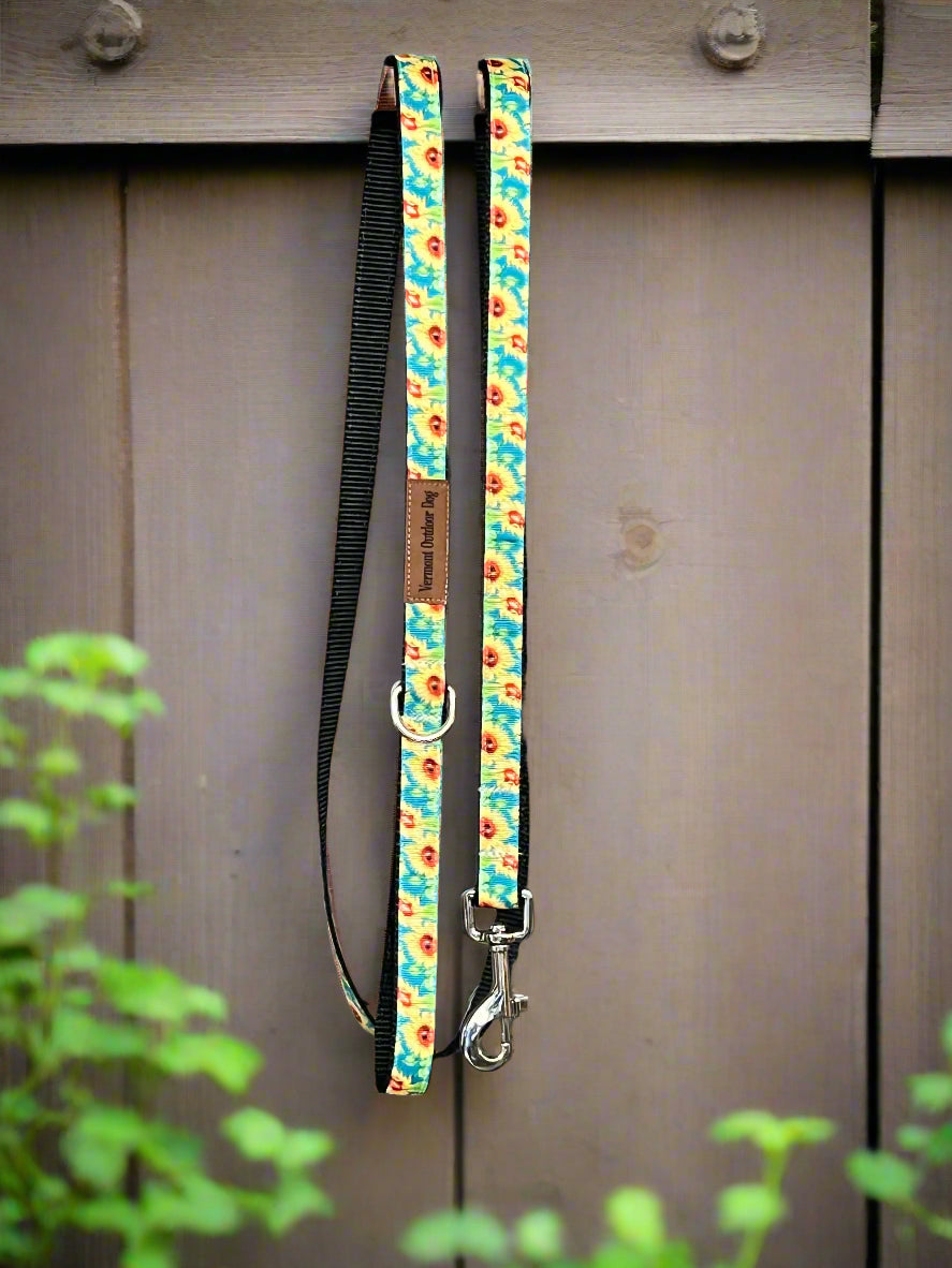 6 Foot Dog Leash 3/4" Width