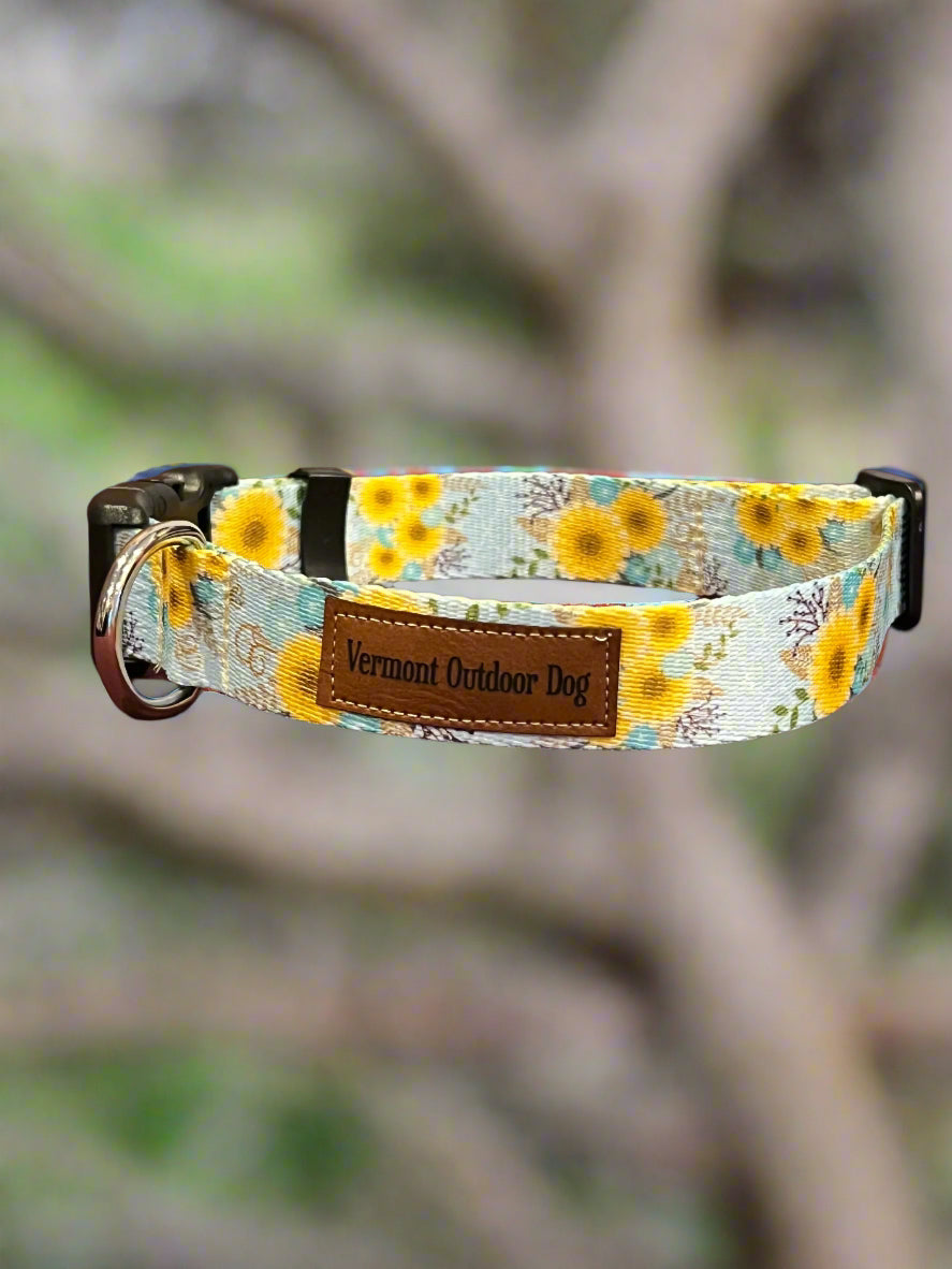 Dog Collar M Adjustable 16-21"