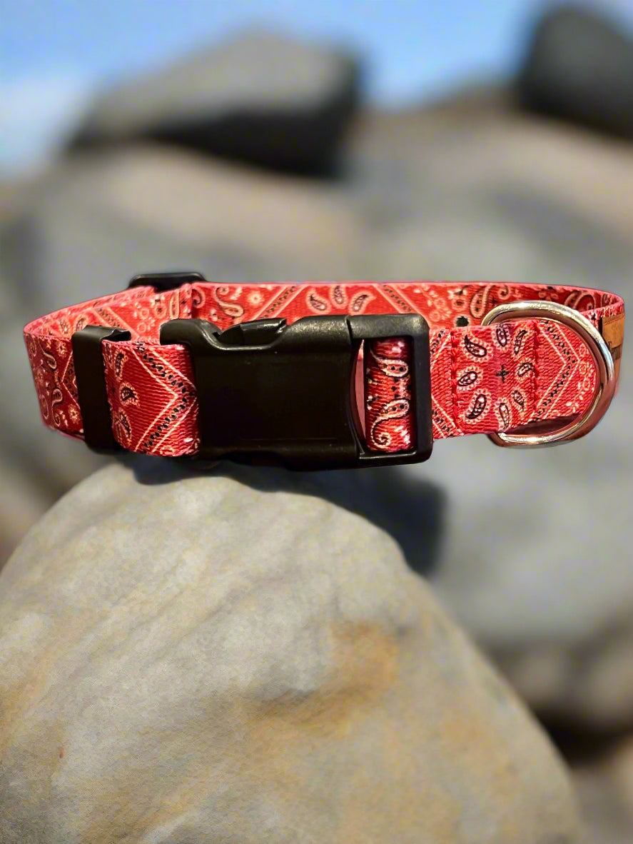 Dog Collar M Adjustable 16-21"