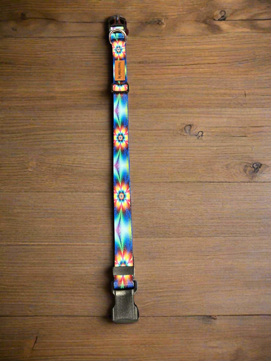 Dog Collar L Adjustable 21-28"