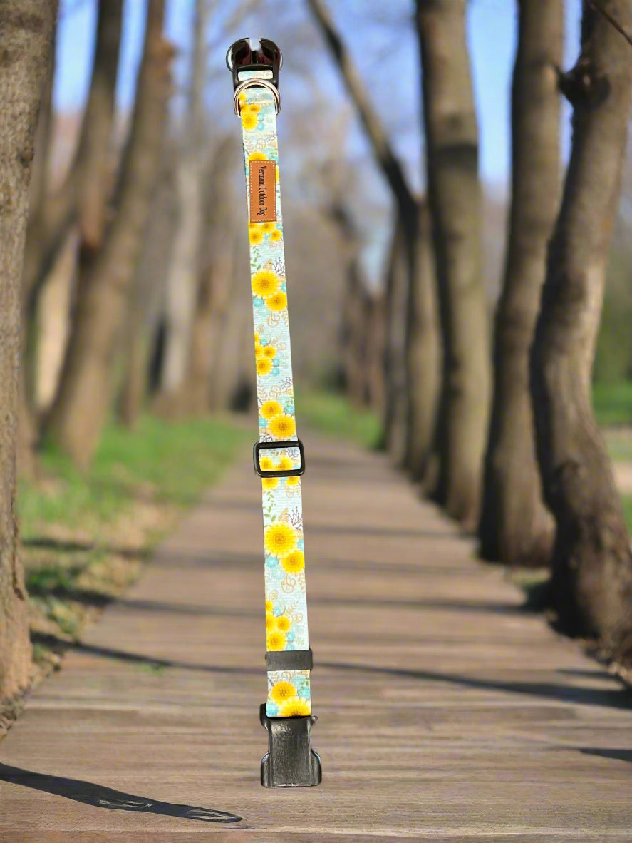 Dog Collar M Adjustable 16-21"