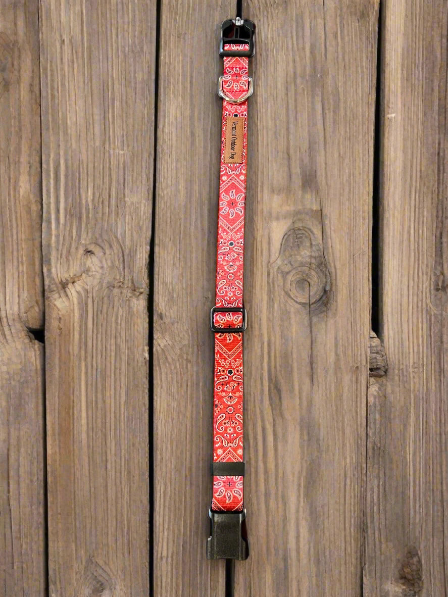 Dog Collar M Adjustable 16-21"