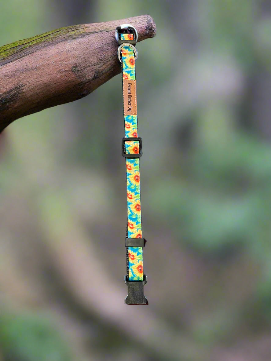 Dog Collar S Adjustable 12-16" 3/4" Width