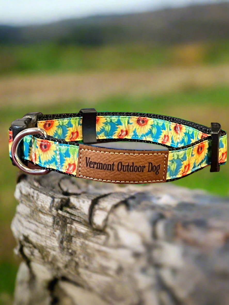 Dog Collar S Adjustable 12-16" 3/4" Width