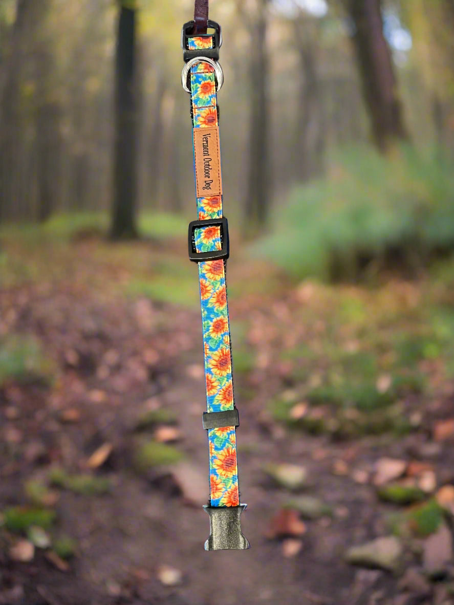 Dog Collar S Adjustable 12-16" 3/4" Width
