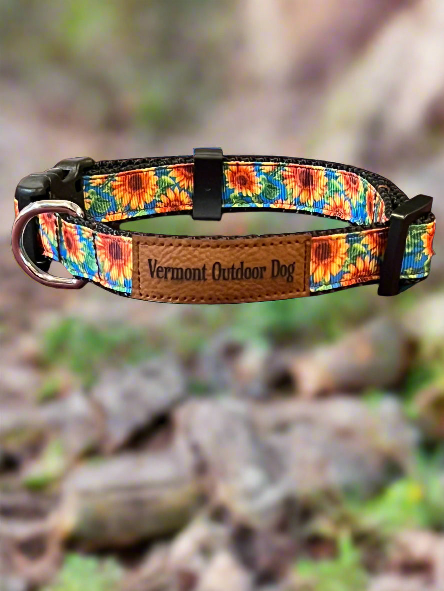 Dog Collar S Adjustable 12-16" 3/4" Width