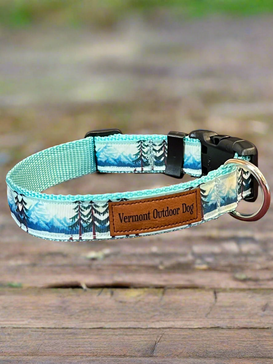 Dog Collar S Adjustable 12-16"