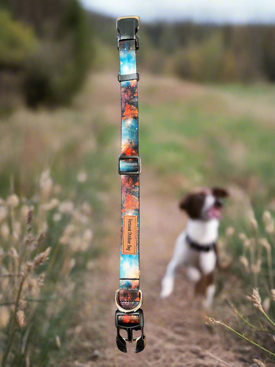 Dog Collar M Adjustable 16-21"