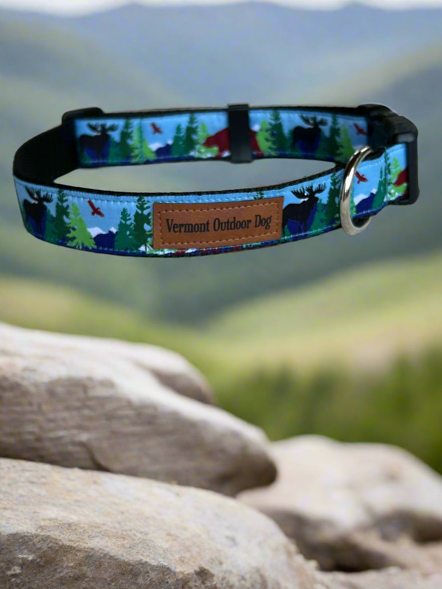 Dog Collar M Adjustable 16-21"