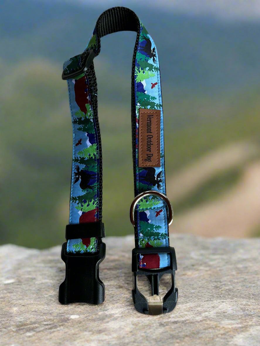 Dog Collar M Adjustable 16-21"