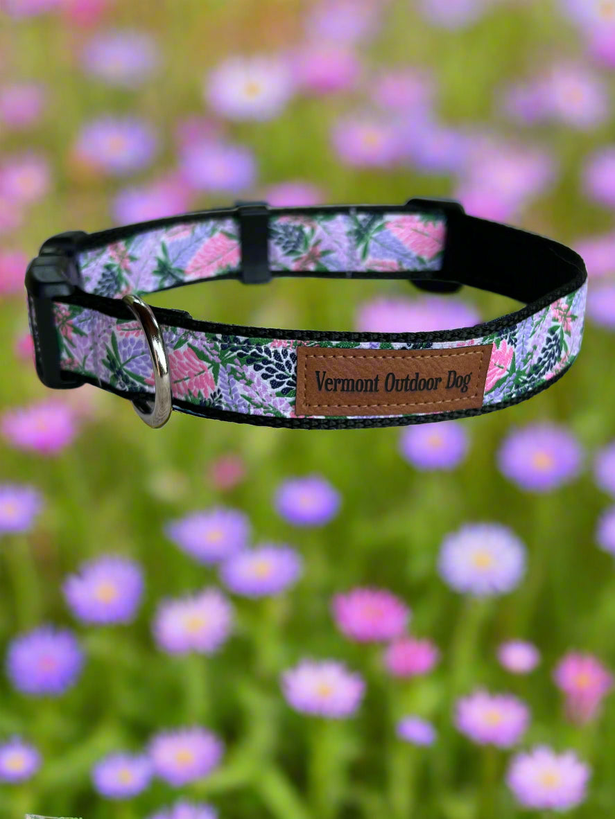 Dog Collar M Adjustable 16-21"