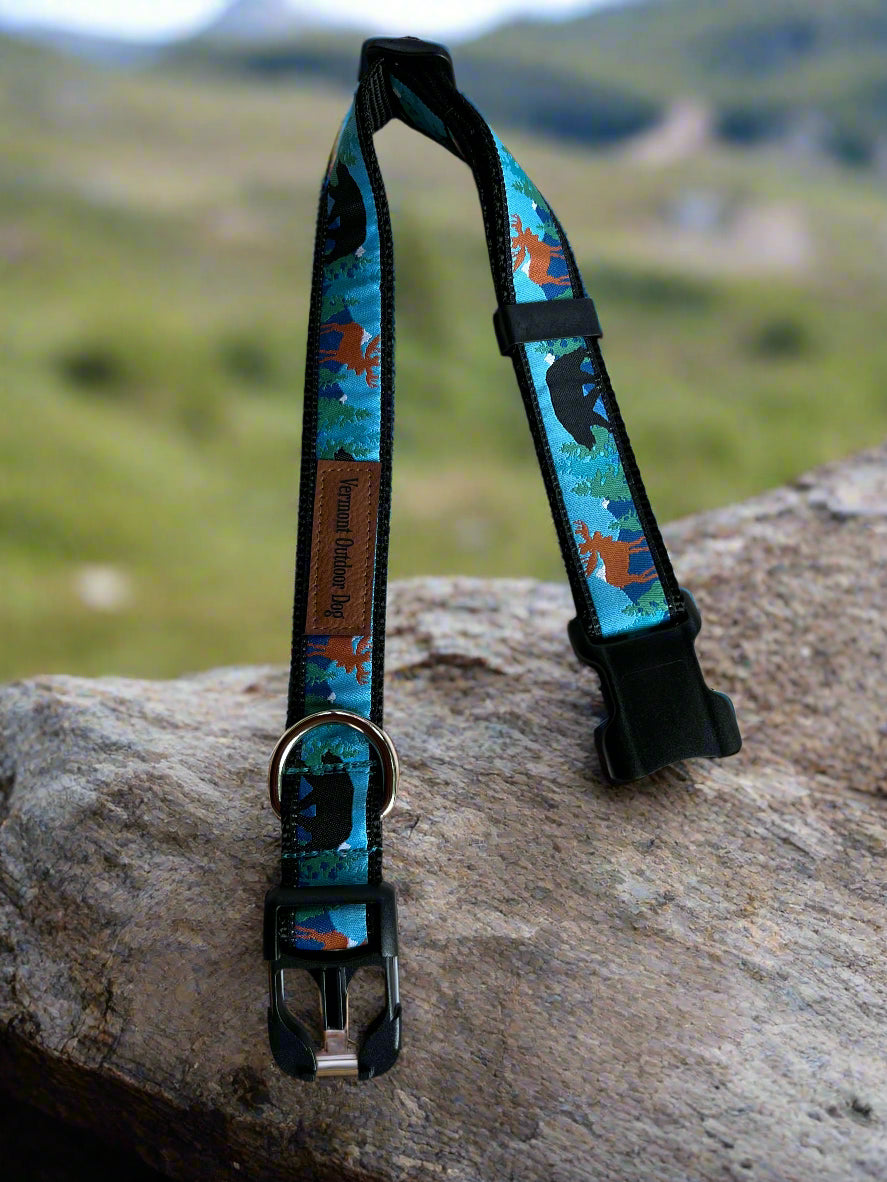 Dog Collar M Adjustable 16-21"