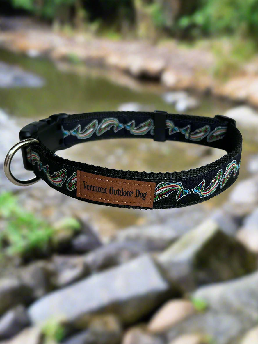 Dog Collar M Adjustable 16-21"