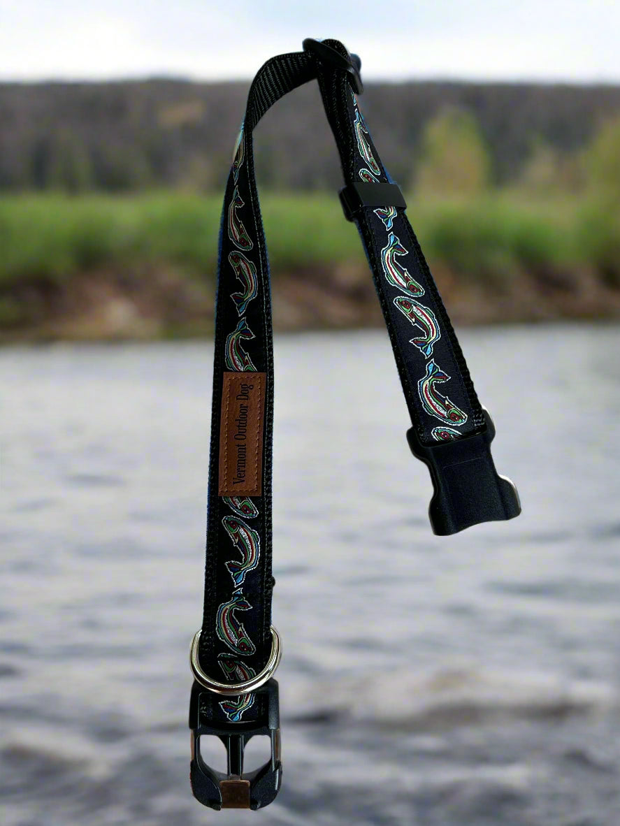 Dog Collar M Adjustable 16-21"