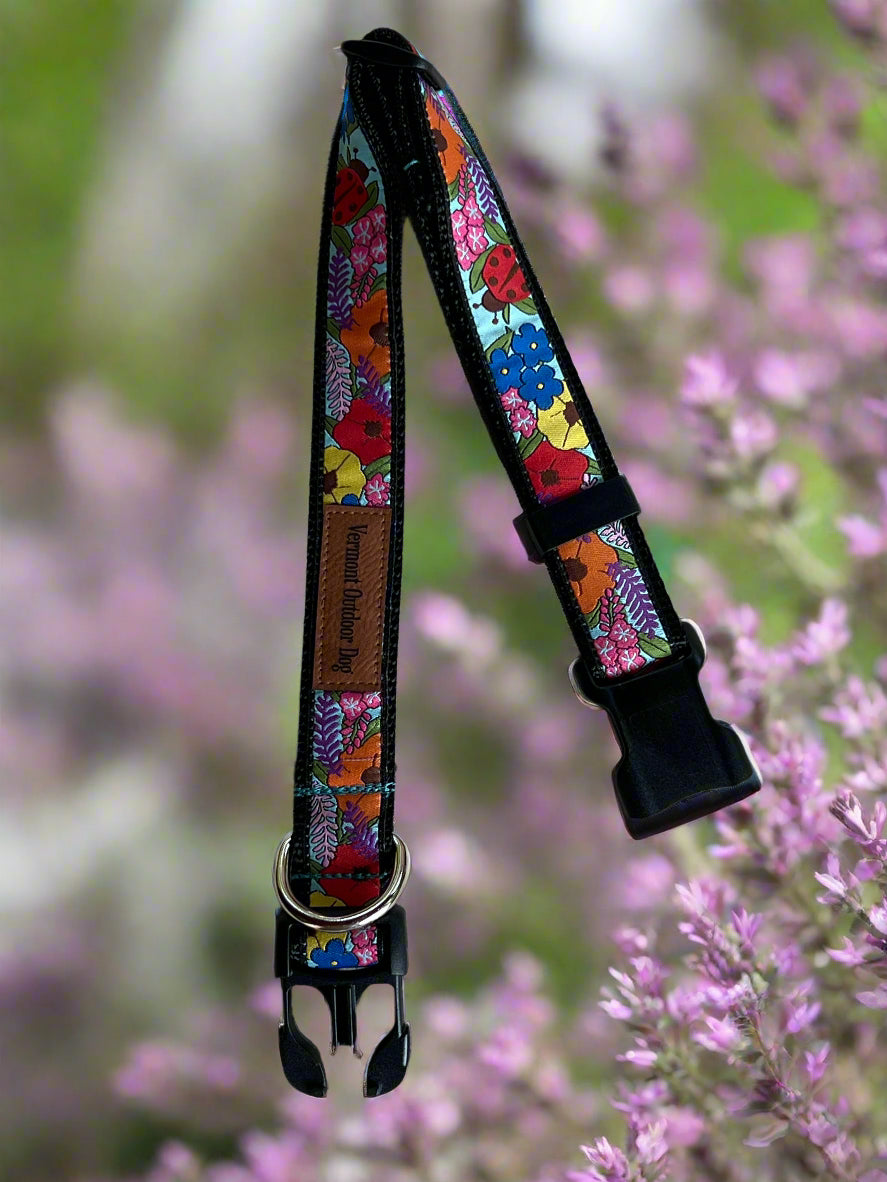 Dog Collar M Adjustable 16-21"