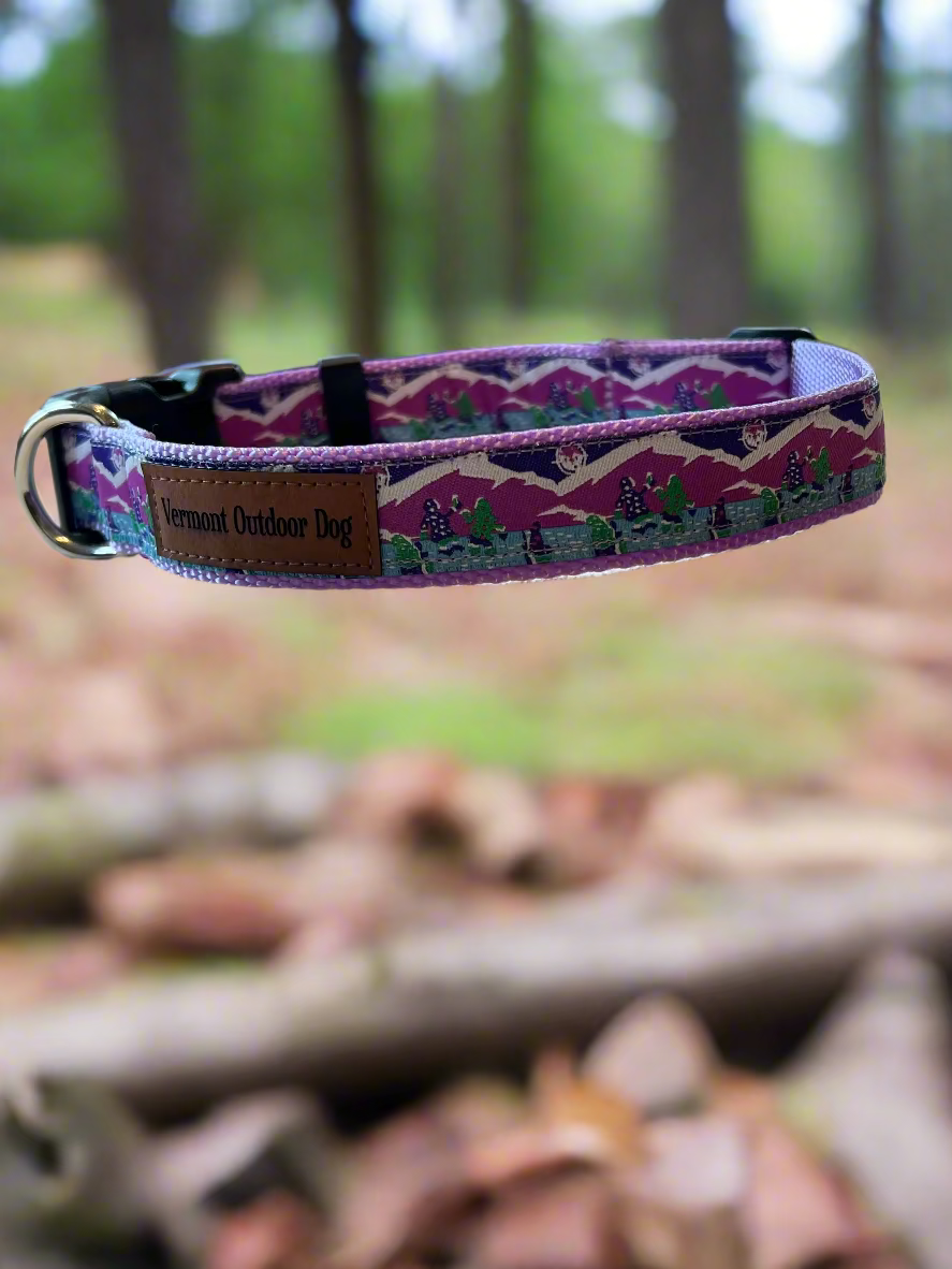 Dog Collar M Adjustable 16-21"
