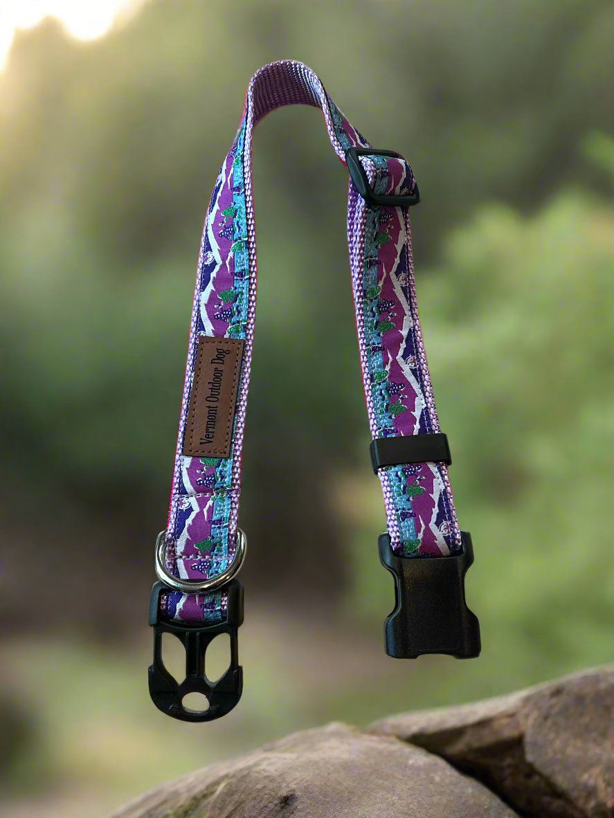 Dog Collar M Adjustable 16-21"