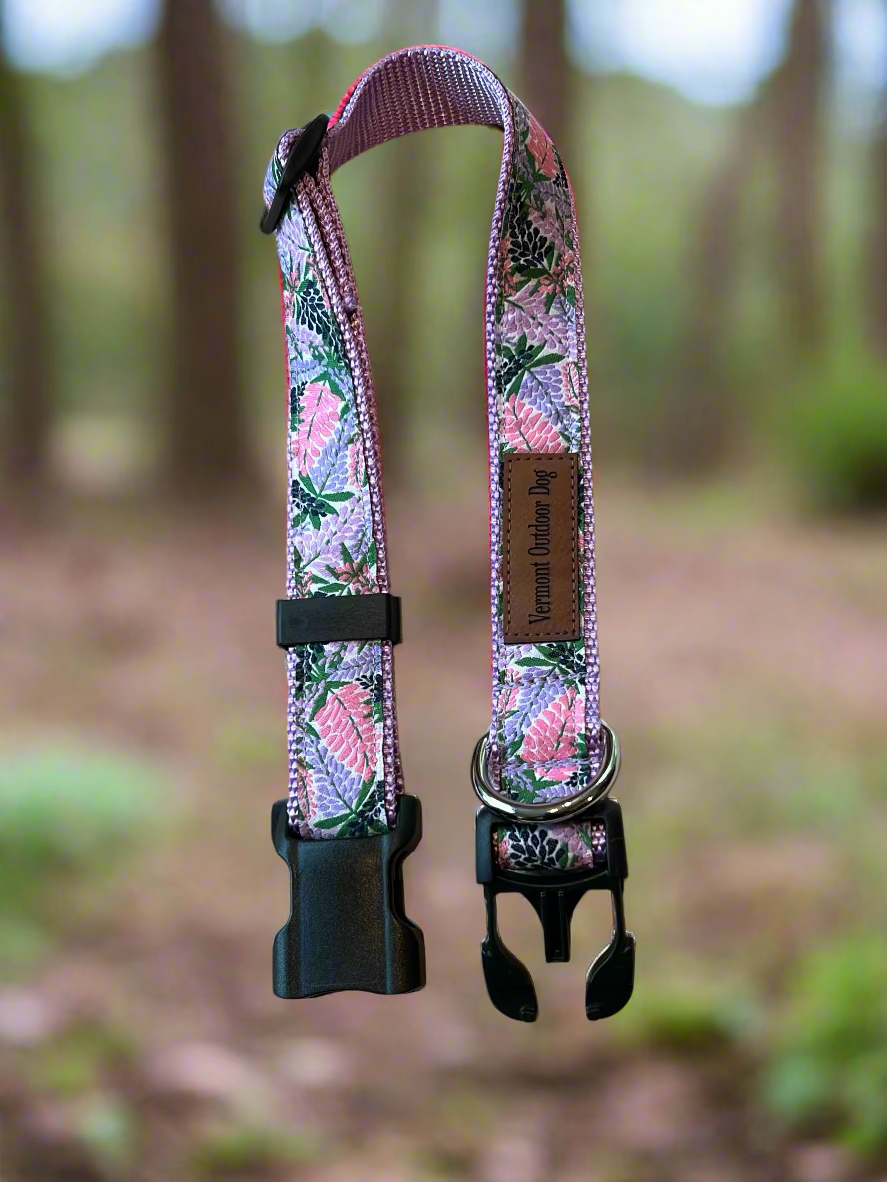 Dog Collar S Adjustable 12-16"