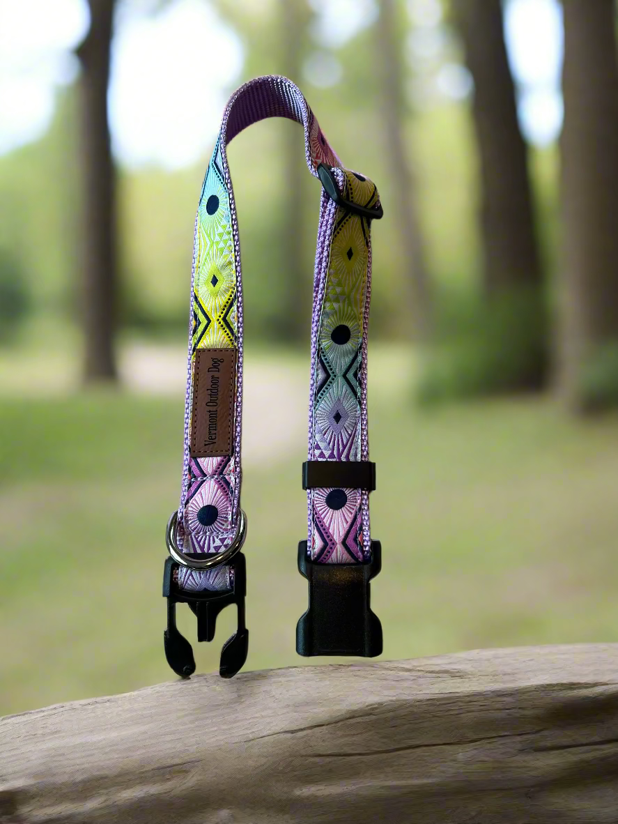 Dog Collar S Adjustable 12-16"