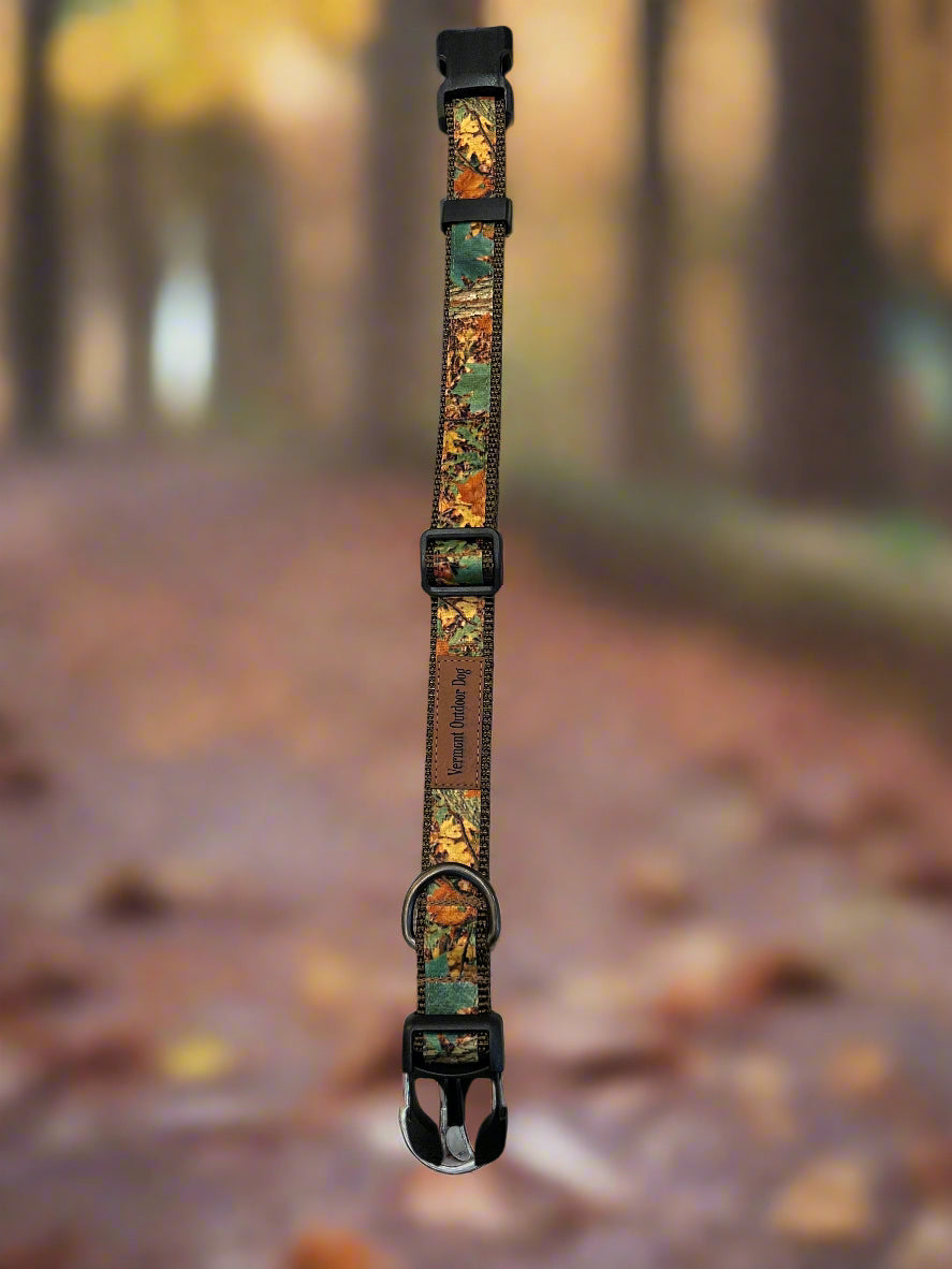 Dog Collar M Adjustable 16-21"