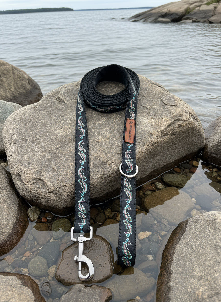 10 Foot Dog Leash 1 " Width