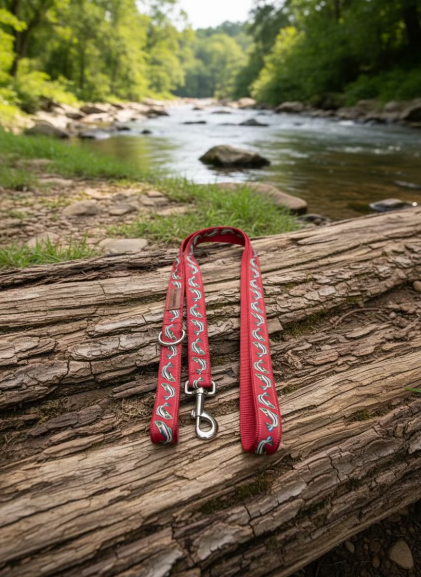 6 Foot Dog Leash 1 " Width