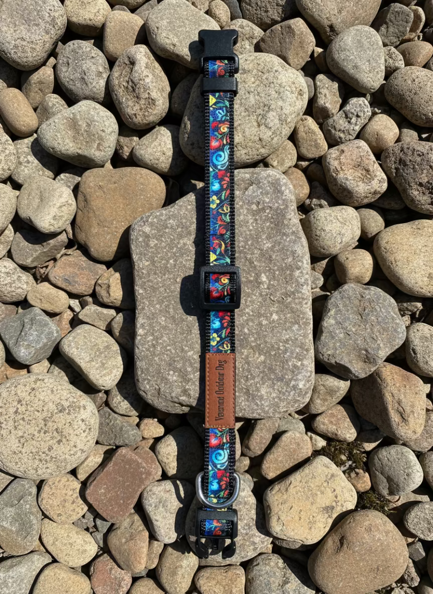 Dog Collar S Adjustable 12-16"