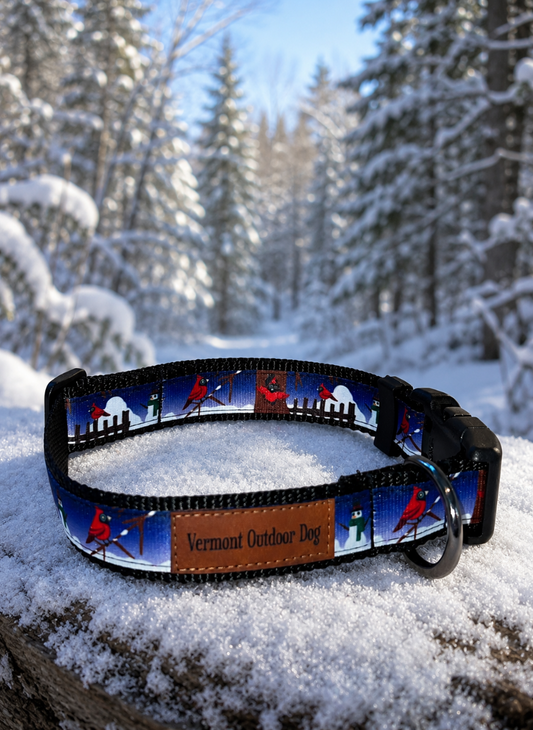 Dog Collar L Adjustable 21-28"