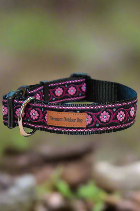 Dog Collar M Wide Adjustable 16-21"