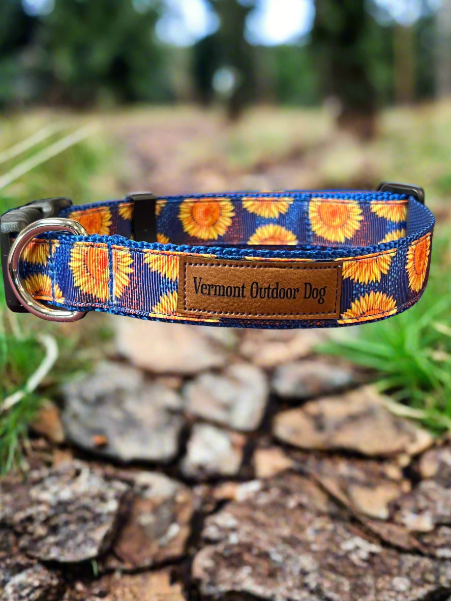 Dog Collar M Adjustable 16-21"