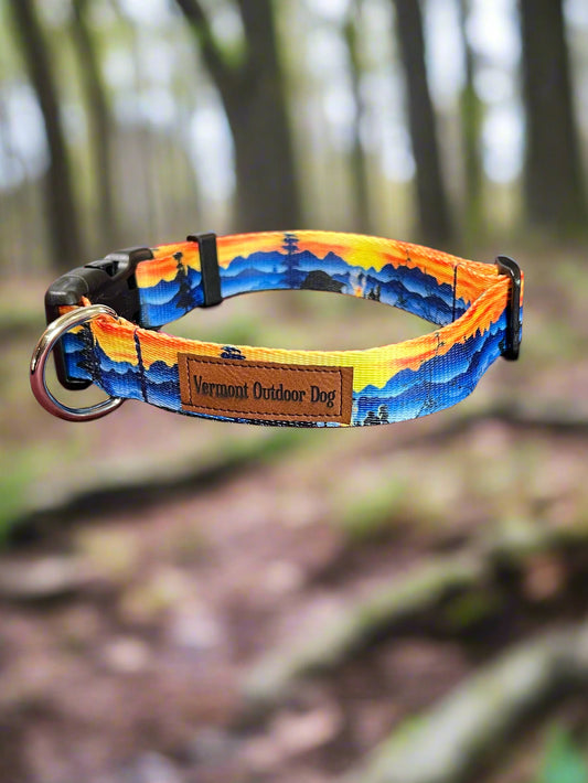 Dog Collar M Adjustable 16-21"