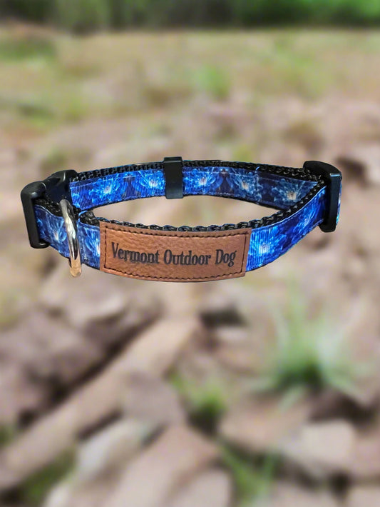 Dog Collar S  Adjustable 12-16"  3/4" Width