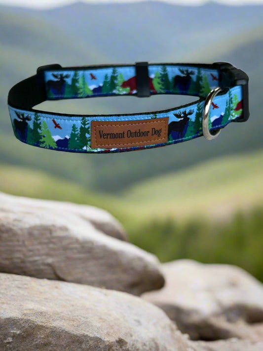 Dog Collar M Adjustable 16-21"