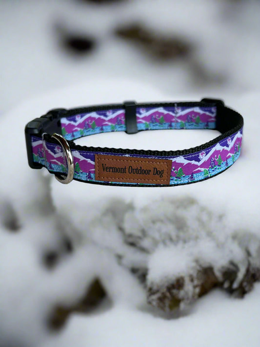 Dog Collar M Adjustable 16-21"