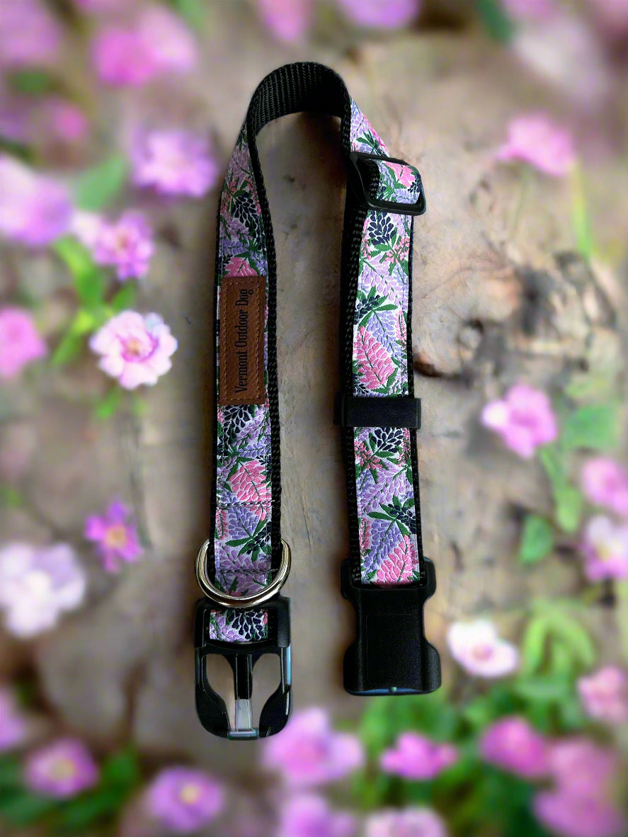 Dog Collar M Adjustable 16-21"