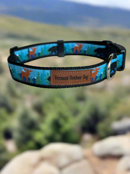 Dog Collar M Adjustable 16-21"