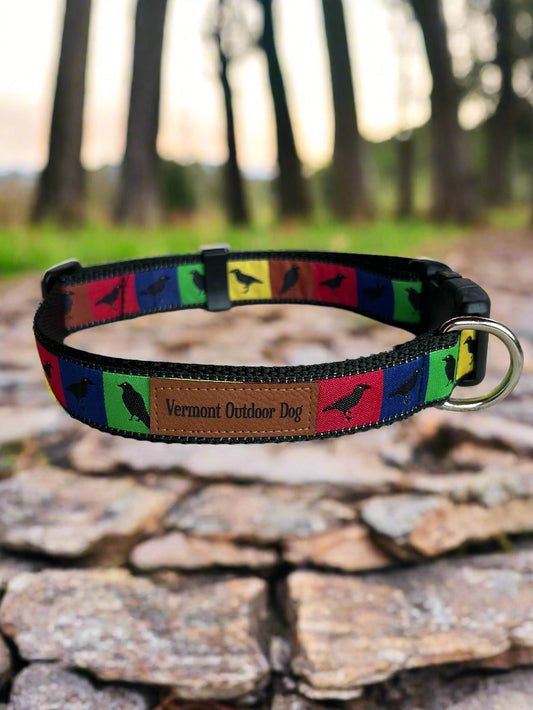 Dog Collar M Adjustable 16-21"