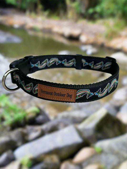 Dog Collar M Adjustable 16-21"