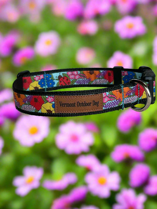 Dog Collar M Adjustable 16-21"