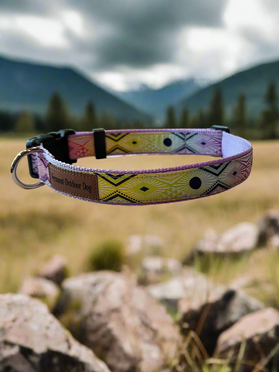 Dog Collar S Adjustable 12-16"