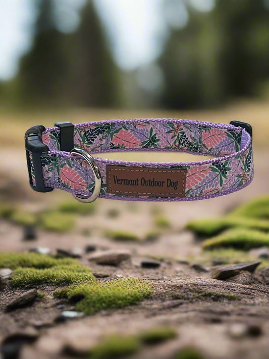 Dog Collar L Adjustable 21-28"