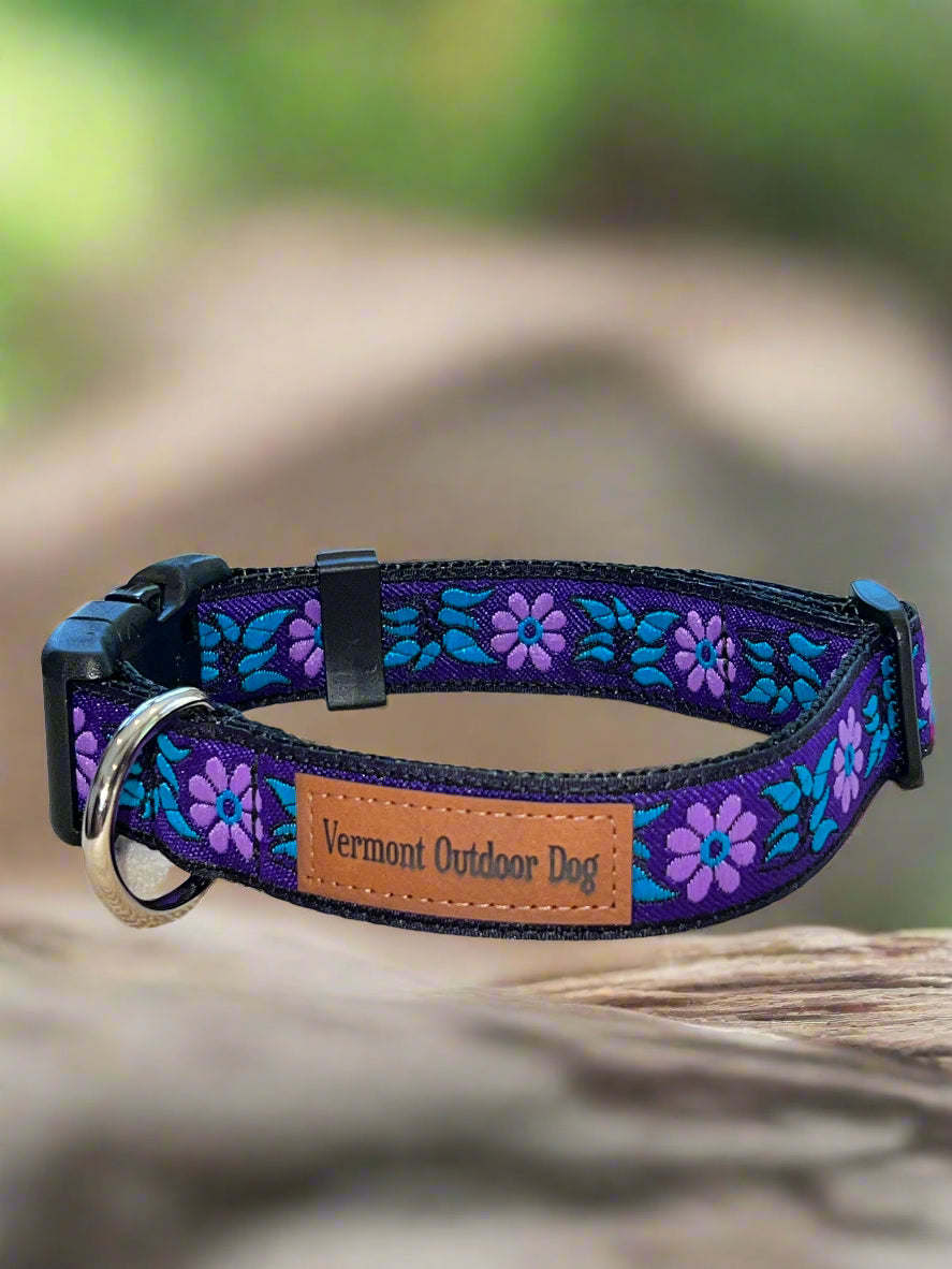 Dog Collar S Adjustable 12-16"