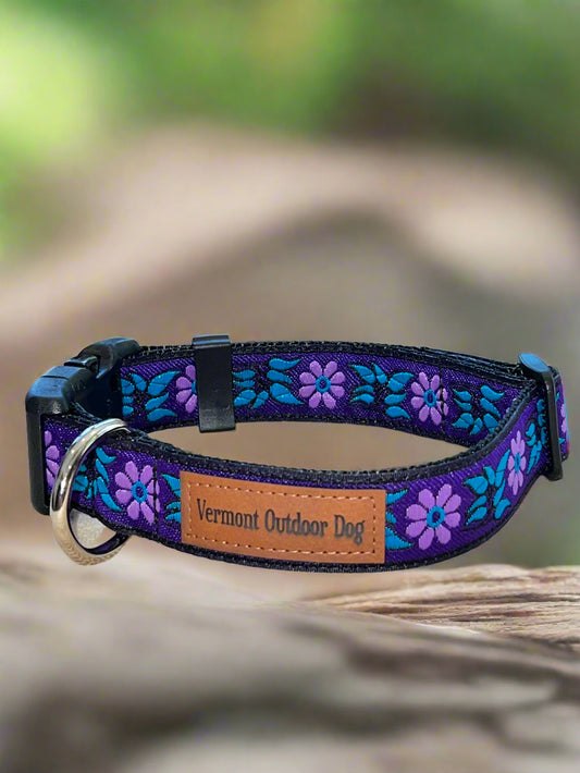 Dog Collar S Adjustable 12-16"