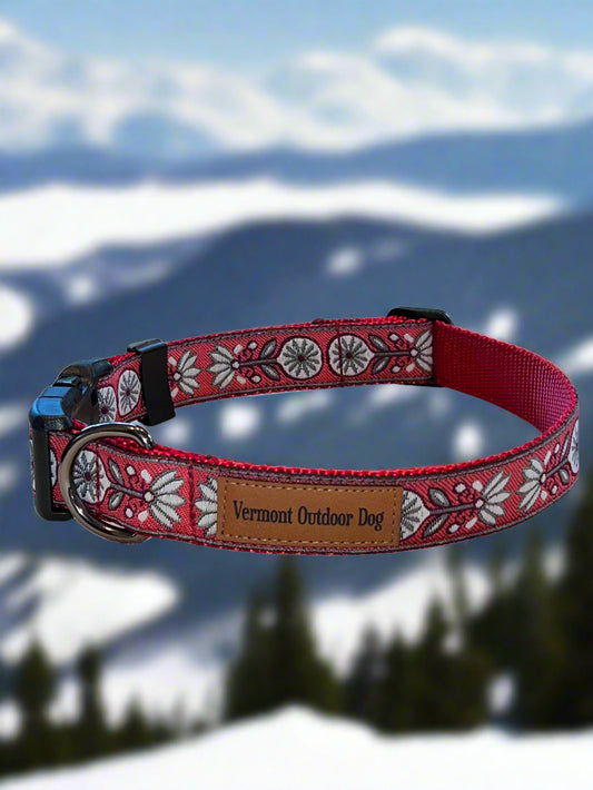 Dog Collar M Adjustable 16-21"