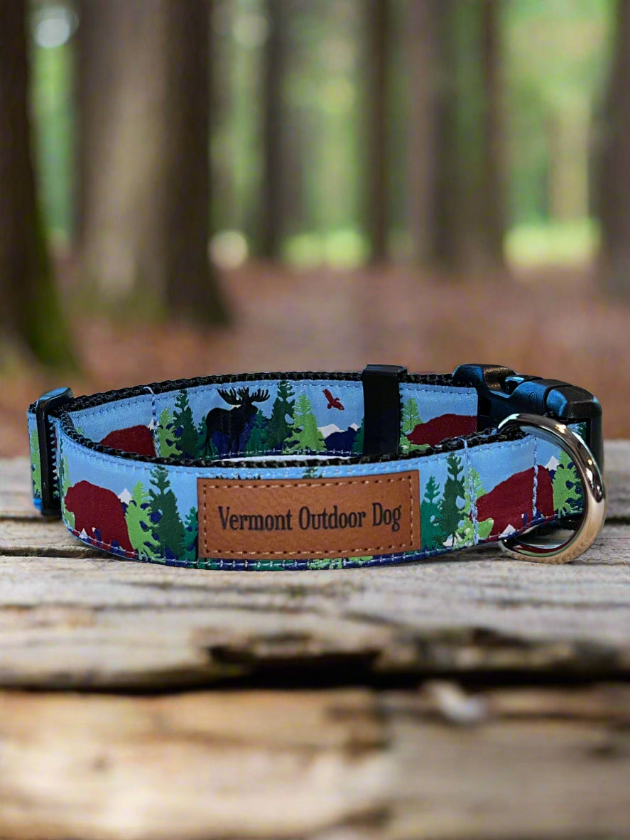 Dog Collar S Adjustable 12-16"
